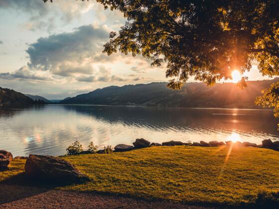 Abendstimmung am Großen Alpsee