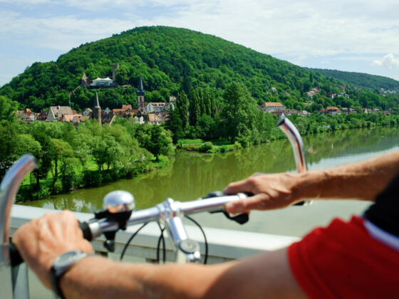 Blick auf Gemünden am Main im Spessart-Mainland