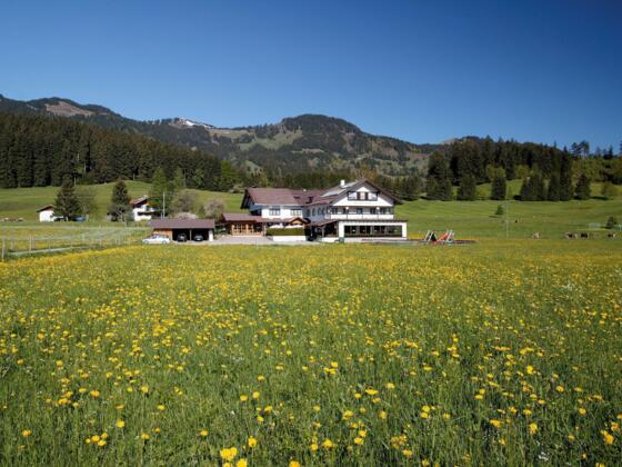 Schönblick im Frühling