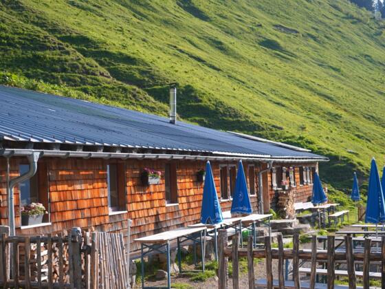 Mittlere Spitalalpe Sommer