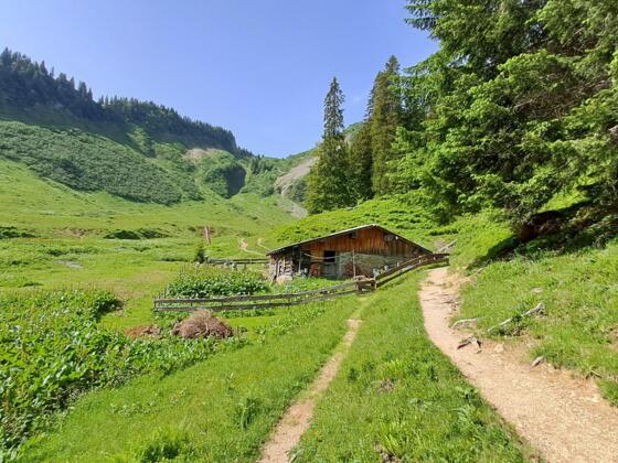 Obere Walmendinger Alpe Sommer