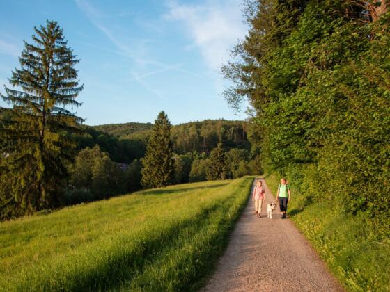 Wandern im RÄUBERLAND