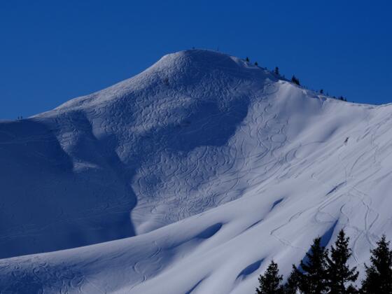 Ideales Skitourengelände am Riedberger Horn.