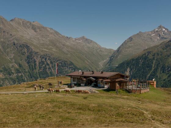 Heidealm1