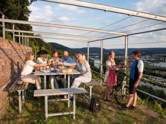 Picknick in den Weinbergen bei Erlenbach am Main