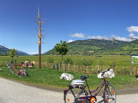 Radinsel "Schlangenbaum" direkt am Tauernradweg
