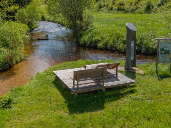 Zwischenstromwiese in Weitersfelden