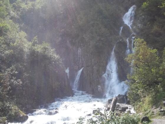 Dachserfall