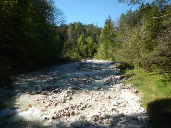 Frechenbach