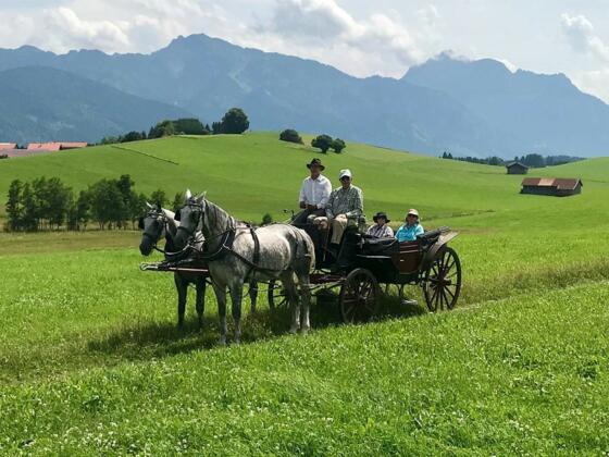 Romantische Kutschfahrten im Pfaffenwinkel
