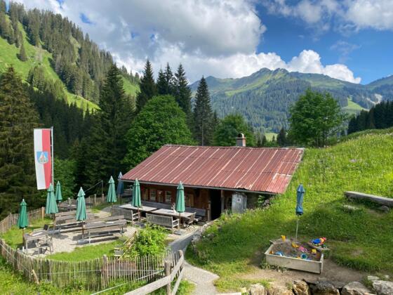 Alpe Widderstein Mittelberg Baad Sommer