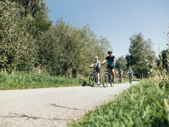 RadfahrenRadweg_OberoesterreichTourismusEntdeckerviertelTomSon.jpg