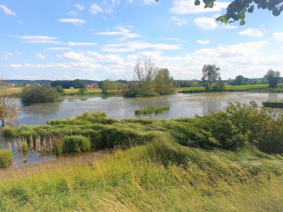 Riedgrabensee Großwenkheim