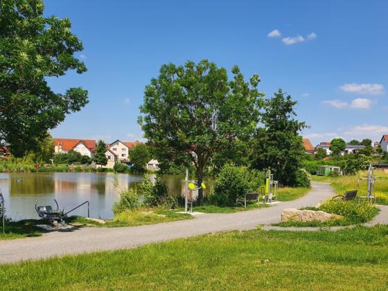 Dorfsee Hohenroth