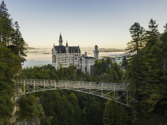 Königlich Wandern im Schlosspark