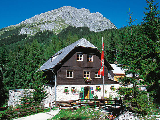 Rohrauerhaus