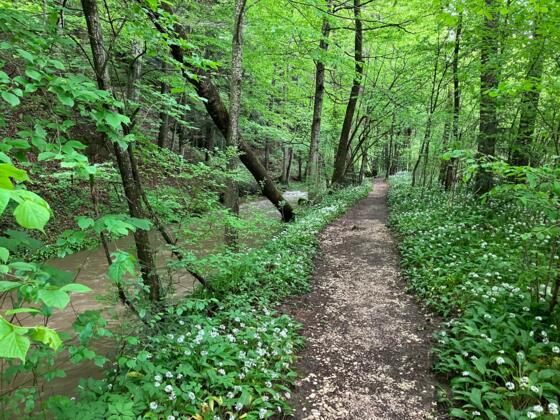 Silberlbach-Wasserfall Trail