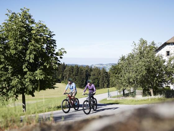 MuehlviertlerAlmFreistadtMountainb_OÖTourismusGmbHAlexanderKaiser