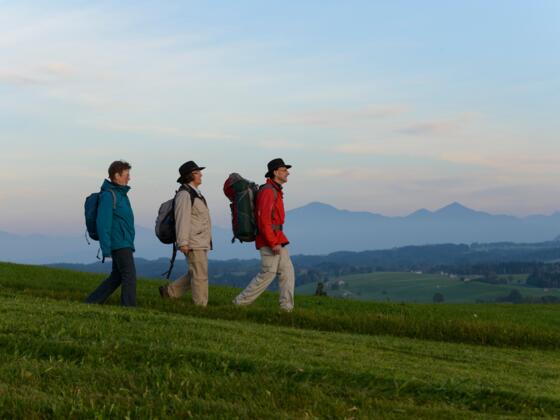 Alpenblick-Wanderung