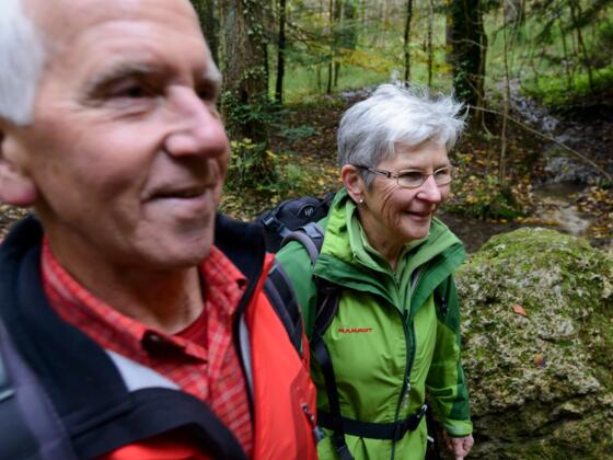 Wald-Wanderweg