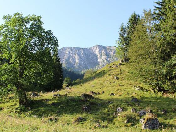 Am Eibelsfleck