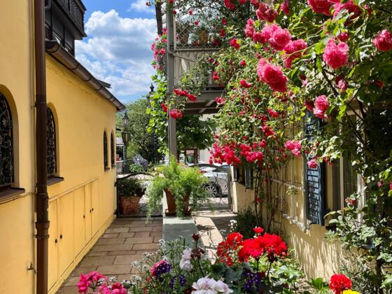 Herzlich Willkommen in der FeWo Rosenstraße
