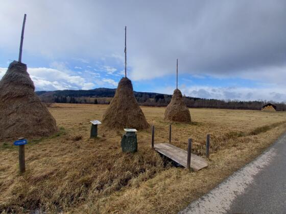 Strahdrischen - Heuhocken