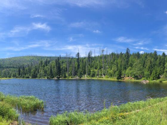 Lakasee