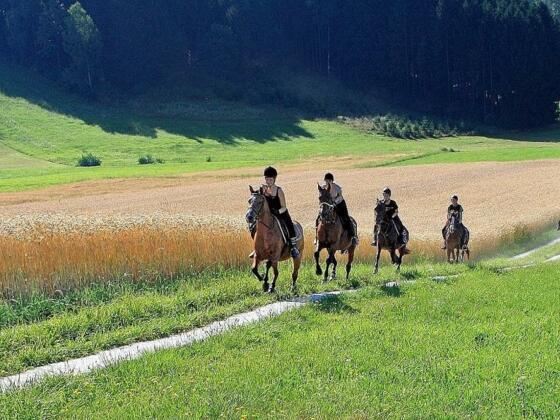 Reiten am Ramlhof