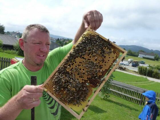 Verkauf in Ulrichsberg
