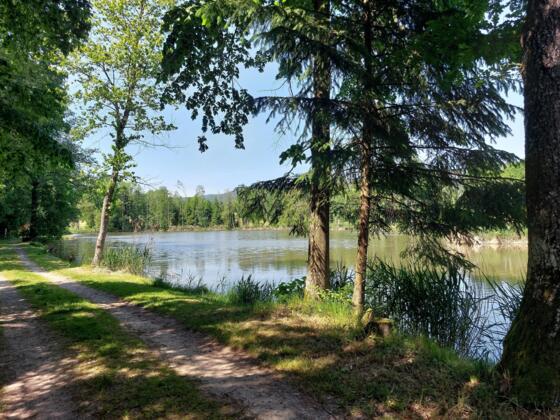 Ziegelteich Fischgewässer