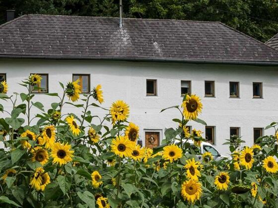 Ausbildungszentrum Wilde Rose