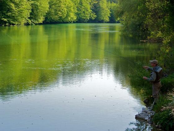 Fliegenfischer an der Steyr