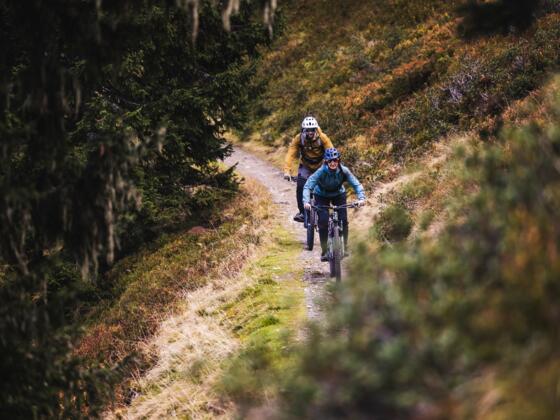 Asitz Trail