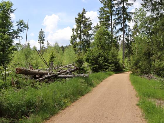 Erlebnisweg Seebach