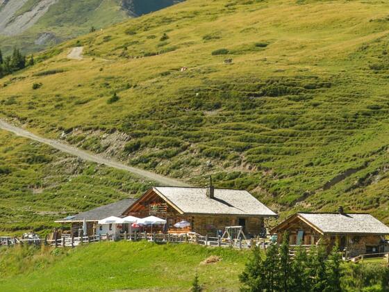 Hochsonnbergalm - die gemütliche Alm lädt zum Entspannen ein