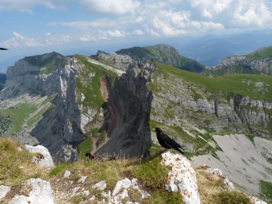 Grandioser Blick über das Rofangebirge.