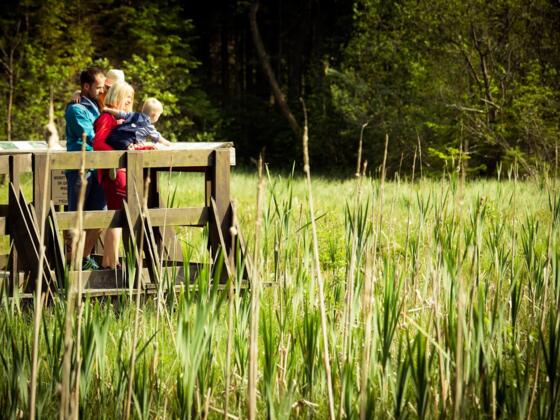 Aussichtskanzel Moor