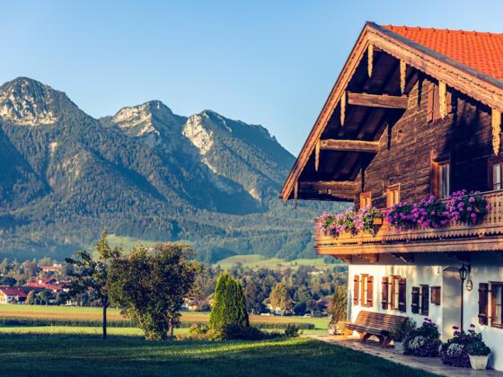 Blick auf den Inzeller Kienberg/Streicher und Rauschberg