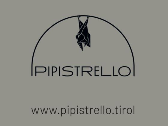 Pipistrello 6