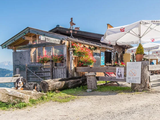 Maiskogel Alm Ranch