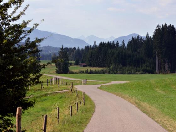 Radweg auf dem 4. Abschnitt der Schlossparkradrunde