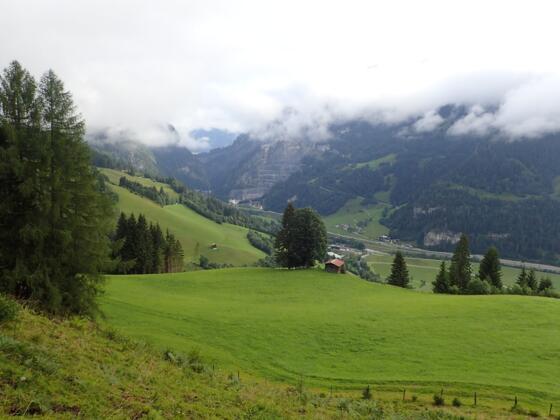 Am langen Forstweg zur Kokaseralm