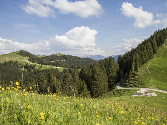 Nordic Walking Höhen-Trail Hörnle - am mittleren Hörnle