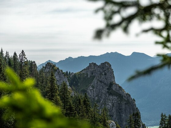 Erster Blick auf das August-Schuster-Haus