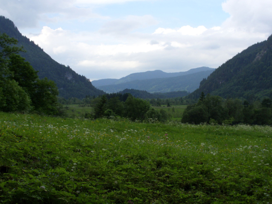 Fernwanderweg Meditationsweg Ammergauer Alpen - am Döttenbichl
