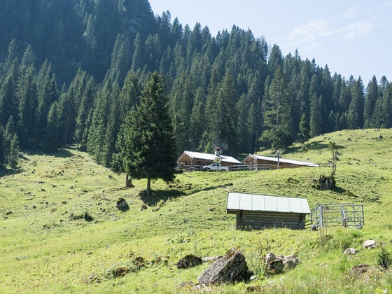 Blick auf die Soila-Alm