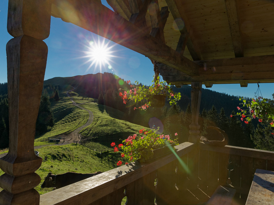 Hörnle-Alm