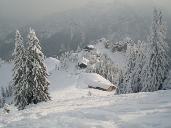 die Pürschlinghäuser von oben