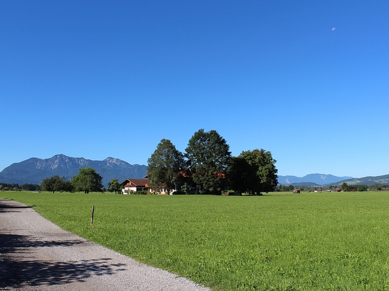 Moosweg bei Benediktbeuern